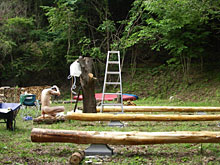 �[�H�̕��i�A�V�����[�V�[��