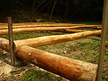 �y�䊮���A�ۑ��g