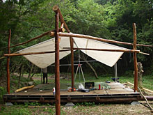 �悵�q�̗����A������������