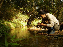 �H���͈͘F���ŁA���͑򂩂�