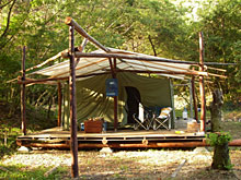 �d����ׂ�A�e���g�͂���Ȋ���