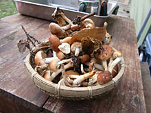 �܂߁A���̂�