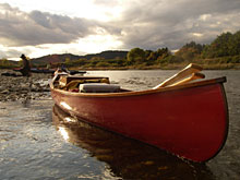 ���̑��A�ו�����