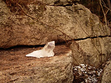 ���E���E���A����