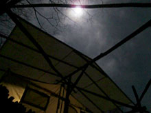 �͂���߃����h�̖�