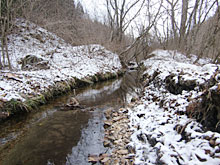 �͂���߃����h�̕��i