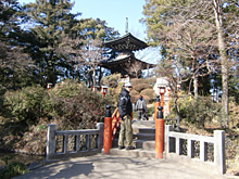 �݂���A�ȏ����V�R