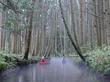 �J�k�[�Ő��̏������