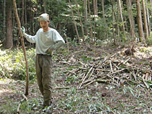 �卪���n�A�d���