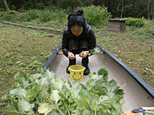 �Ȃ߂��̖��X�`�A�����J�k�[