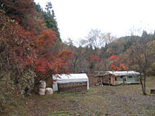 ��e�A�����h���i