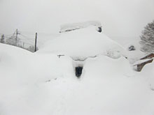 ���䂳��̉�