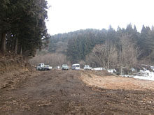 �����{�ł܂����^�ԁA�y�g���~�U��