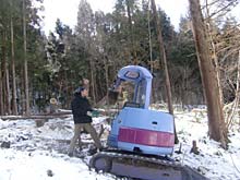 ���C���A�V���֌�����