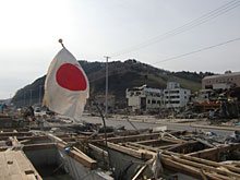 ���I�̒��̓��̊ہA�Ί��̊ʋl