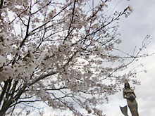 Wooden Boat Builders Meeting�A������Ɛl��