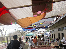 �Z�[�����O�A�A�[�X�f�C�т��