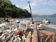 �J�k�[�f�C�ł����킹�A���I����