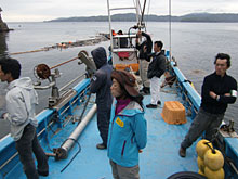 �����w�Z�̕ǂ��A�E�T�M���ցB