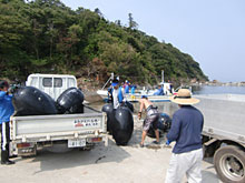 ���t����ƈꏏ�ɁA�h�g��ł̍��