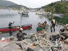 ���t����ƈꏏ�ɁA�h�g��ł̍��