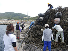 �Ԃ̓P���A�T���x�[�W�ŉ���������̒�����