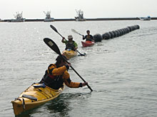 ��R�Ƃ̊i���A�V�[�J���b�N���g����������