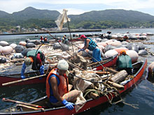 ���ԃJ�k�[�A�J�^�}�����J�k�[