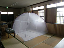 ����A����