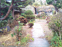 ����̉摜�A�{���̉摜