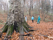 �����A�����̐X