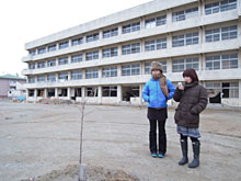 �x�[�X�̗l�q�A����