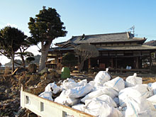 ���͂����A�����V�C