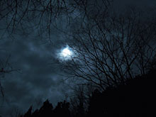 �[�Ă��A���̂͂���߃����h