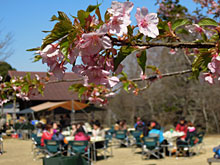 ��͏��q�Ő���オ��A�T�N���T�N��