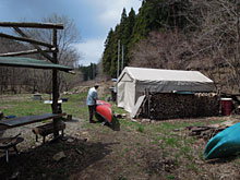 �傫���Ȃ����t�L�m�g�E�A�J�k�[���C��