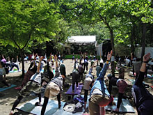 �^���b�g�A���K