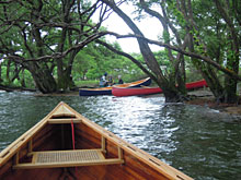 ���i�΂̌ΔȂɂ�