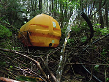 �W���K�C���͂���Ȋ����A�����ĊJ�ʂɂނ���