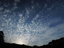 �_���v�ŉ^�ׂ�̂͂����B�Y��ȋ�B