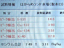 ���˔\�����A�͂���߃����h����