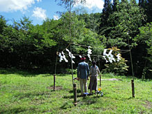 ������`�J�A�n����