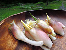 ���ڂ���A�݂傤��