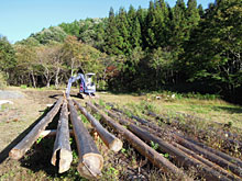 �H�̂͂���߃����h