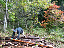 �H�̂͂���߃����h