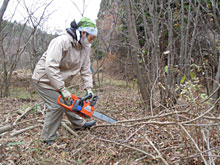 �����V�[���A�`�F�[���\�E�V�[��