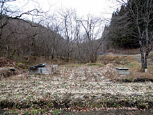 �[�I���C�g�ƕĂʂ����T��