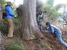 ���ށA�M�ɂȂ��