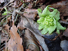 hu�t�L�m�g�E�A�~�j�o��