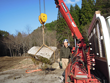 ���j�b�N��؂���A������